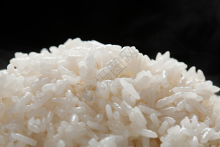 熟食传统米饭图片