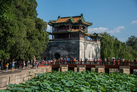 荷叶免抠图旅游胜地旅游元素北京颐和园背景