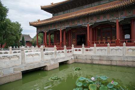 荷花名胜古迹园林北京雍和宫首都高清图片素材