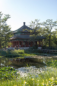 城市水无法辨认的人北京圆明园公园高清图片