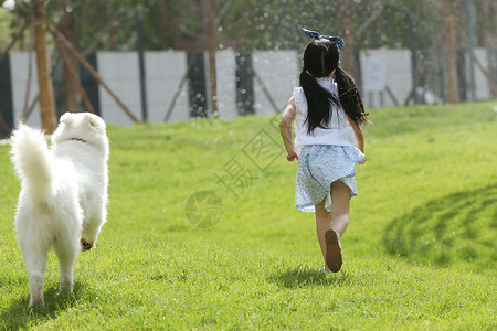 小孩动物儿童小女孩在草地上玩耍背景