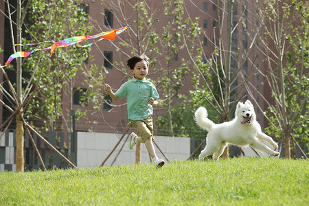 男孩在放风筝健康生活方式童年白昼小男孩在草地上玩耍背景