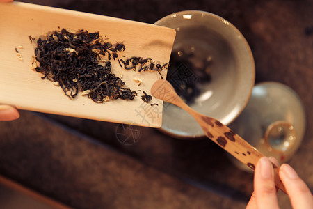 女性与昆虫户内高雅彩色图片青年女人泡茶背景