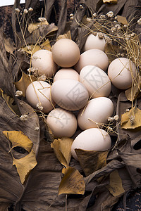 卵彩色图片垂直构图土鸡蛋图片