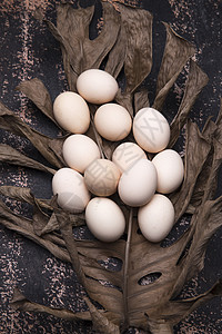 脆弱树枝摄影土鸡蛋图片