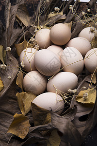 健康的食材土鸡蛋图片