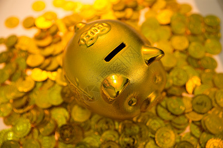 金色影棚拍摄主题金币和存钱罐闪亮的高清图片素材