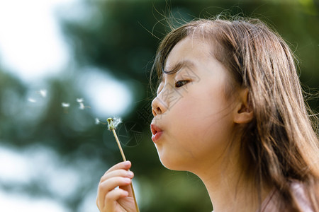 可爱的女孩吹蒲公英高清图片