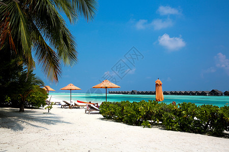 海滩躺椅太阳伞天际线地平线自然保护区马尔代夫海景风光背景