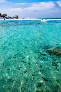 云鱼自然地理天空海滩马尔代夫海景背景