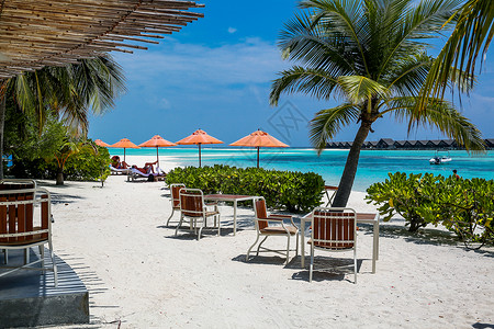 户外太阳伞自然地理水平构图户外马尔代夫海景风光背景