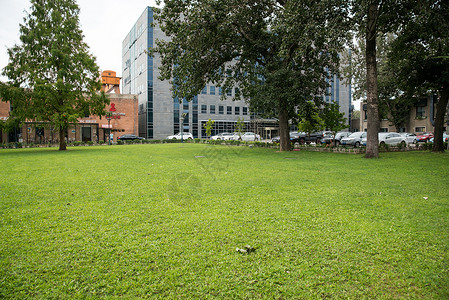 草地美术素材展览雕塑户外北京798艺术区背景