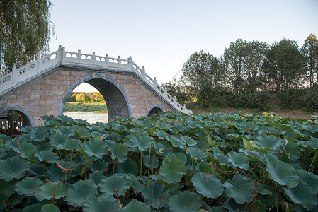 人造建筑都市风景亭台楼阁北京圆明园图片