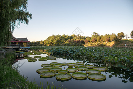 北京记忆旅游遗址建筑北京圆明园背景