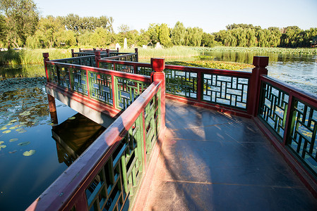 北京记忆夏天白昼国内著名景点北京圆明园背景