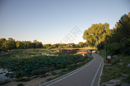 首都远古的旅游目的地北京圆明园传统文化高清图片素材