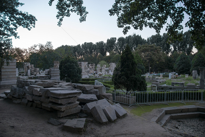 纪念古代树北京圆明园图片