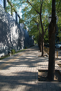 建筑体植物城市建筑外部北京三里屯街景背景