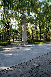 植物古老的雕塑北京十三陵图片