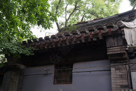 特色大城市传统文化北京胡同图片