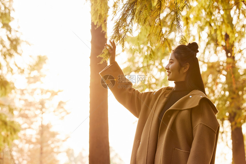 秋季黄昏美女欣赏秋色风景图片