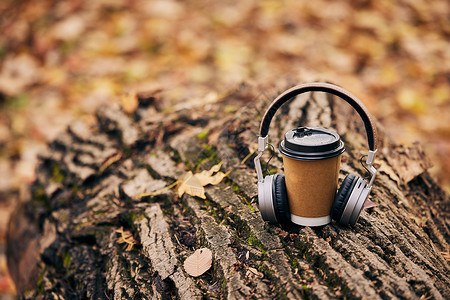 公园树干树干上的耳机和咖啡杯背景