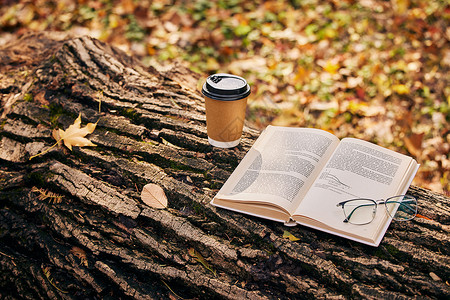枫叶书籍树干上的书籍咖啡与眼镜背景
