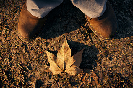 秋钓边秋冬落在脚边的落叶背景