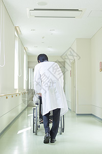 医生推着轮椅的背影病人高清图片素材