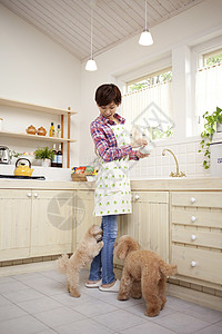 女性和狗狗在厨房间玩耍图片