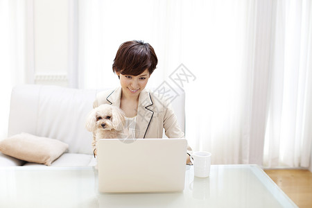 职场女性居家办公和玩具贵宾犬图片