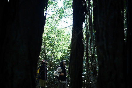 树林中两个看着大树的男人图片