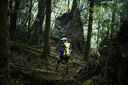 丛林冒险探索自然的背包客图片