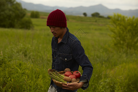 农场农民男性收获蔬菜图片
