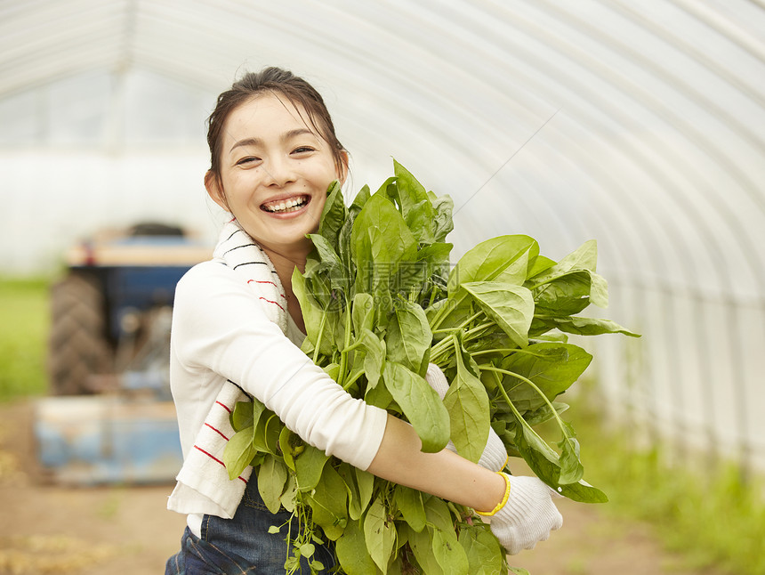收获新鲜蔬菜的农民女青年图片