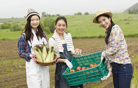 农田里采摘蔬菜的女性图片