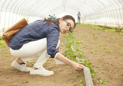蔬菜大棚内的女性智能农业形象图片