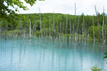 风景名胜水湖蓝塘图片