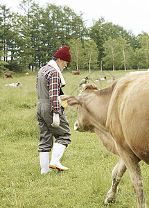 牧场放牛的大叔图片