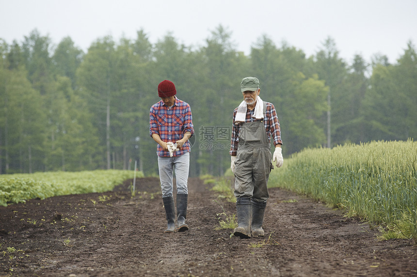 在牧场工作的男性农民图片