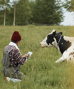 牧场放牛玩平板的农民图片