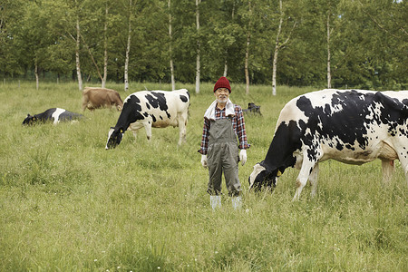 牧场中放牛的牧民图片