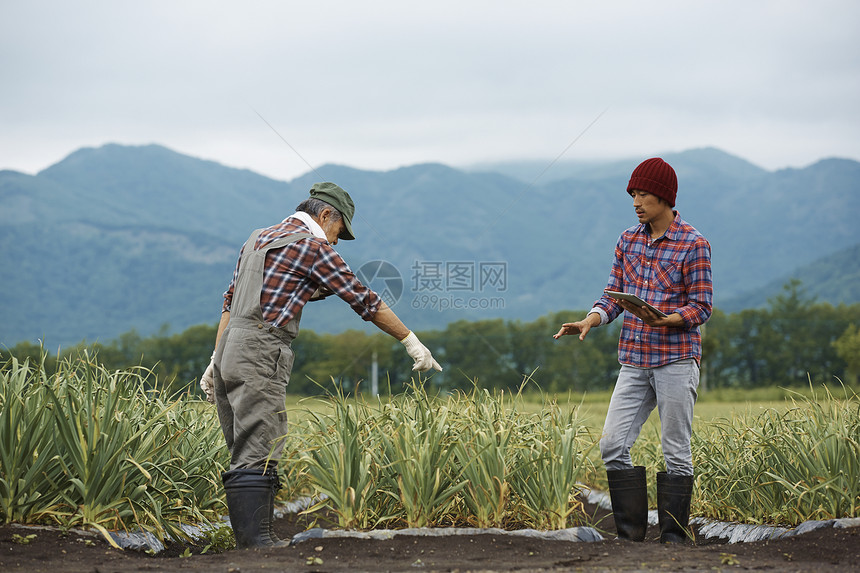 田间劳作的农民图片