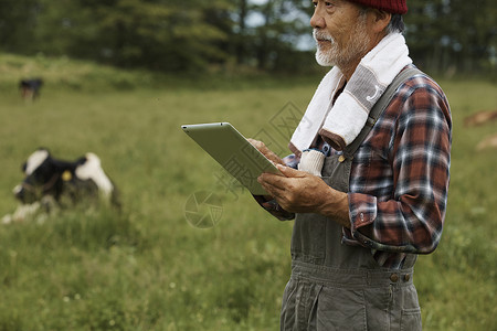 老农民在牧场上用平板电脑图片