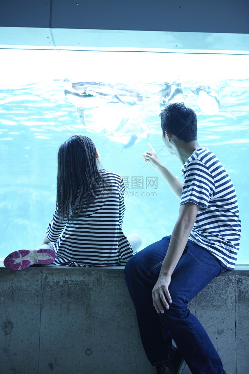 在水族馆看海洋生物的父女背影图片