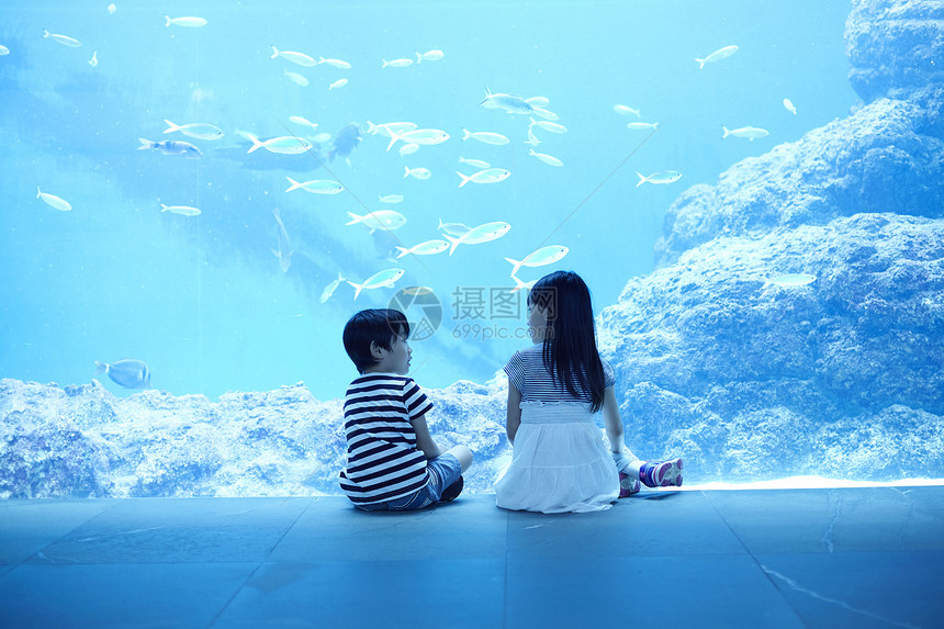 姐弟俩在水族馆观光图片