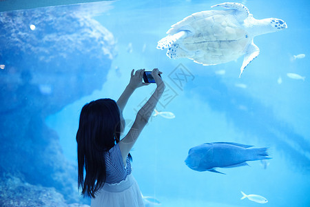 海龟力量女孩在水族馆观光背景