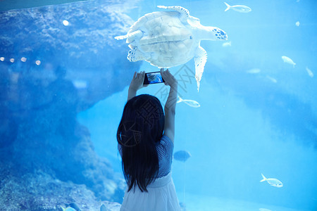 海龟力量水族馆看鱼的小女孩背景