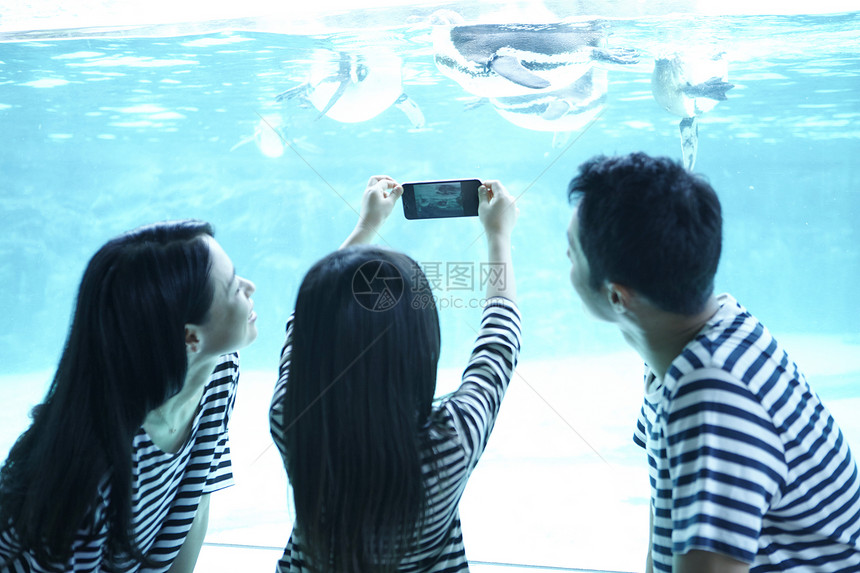 三口之家在水族馆游玩拍照图片