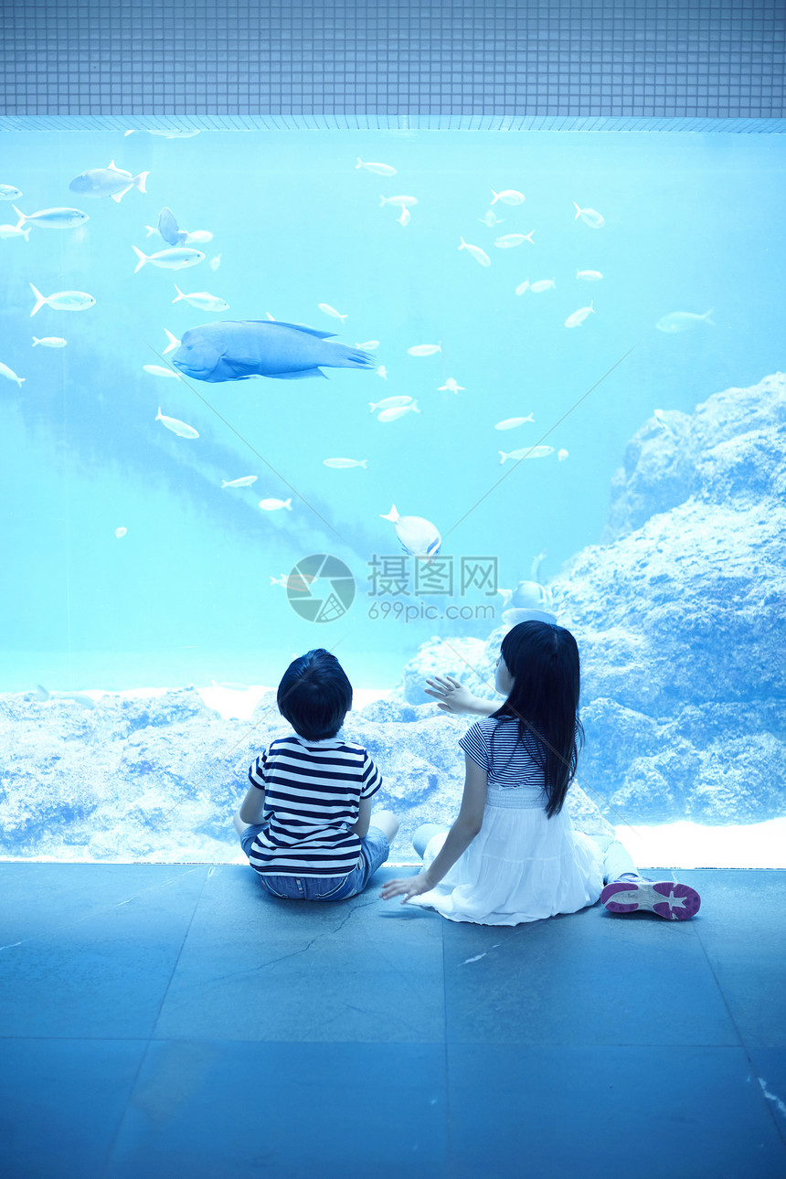 水族馆里看鱼的孩子图片